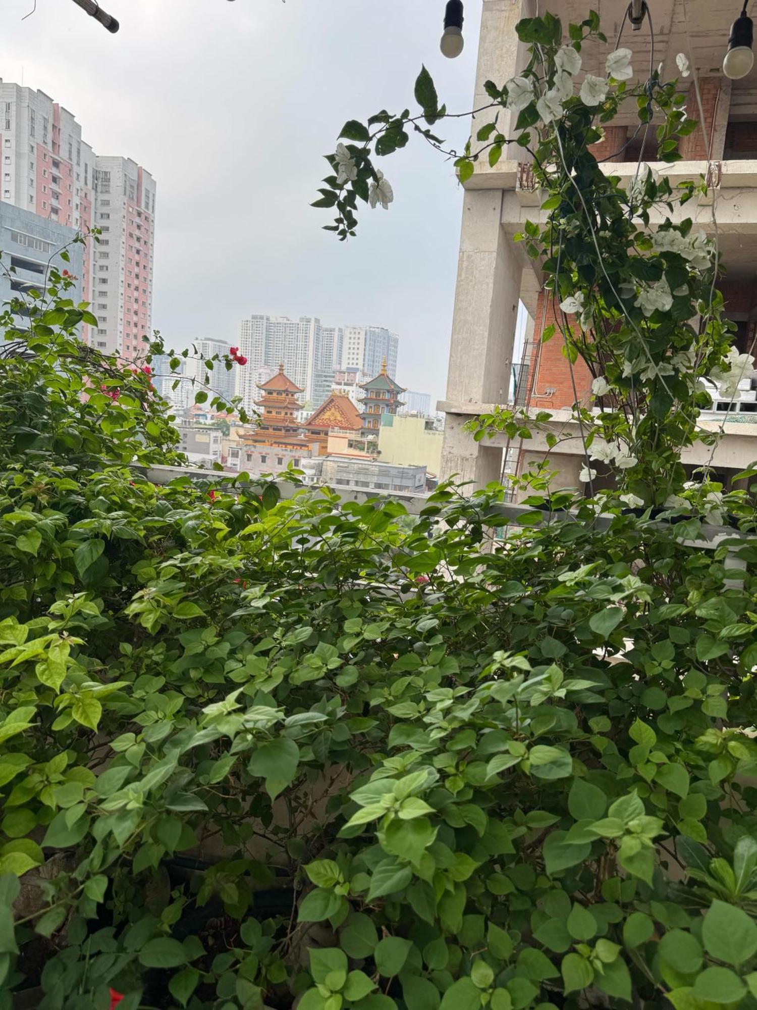 Homestay Vu Binh