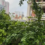 Vu Binh Homestay